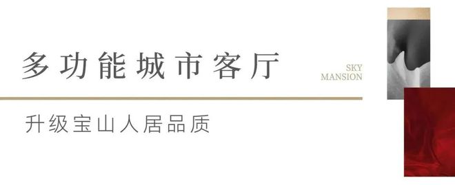 宝山天铂2024官方网站 最新楼盘资讯丨户型图丨区位优势(图4)